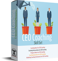 CEO Skill Set