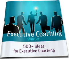 Executive Skill Set