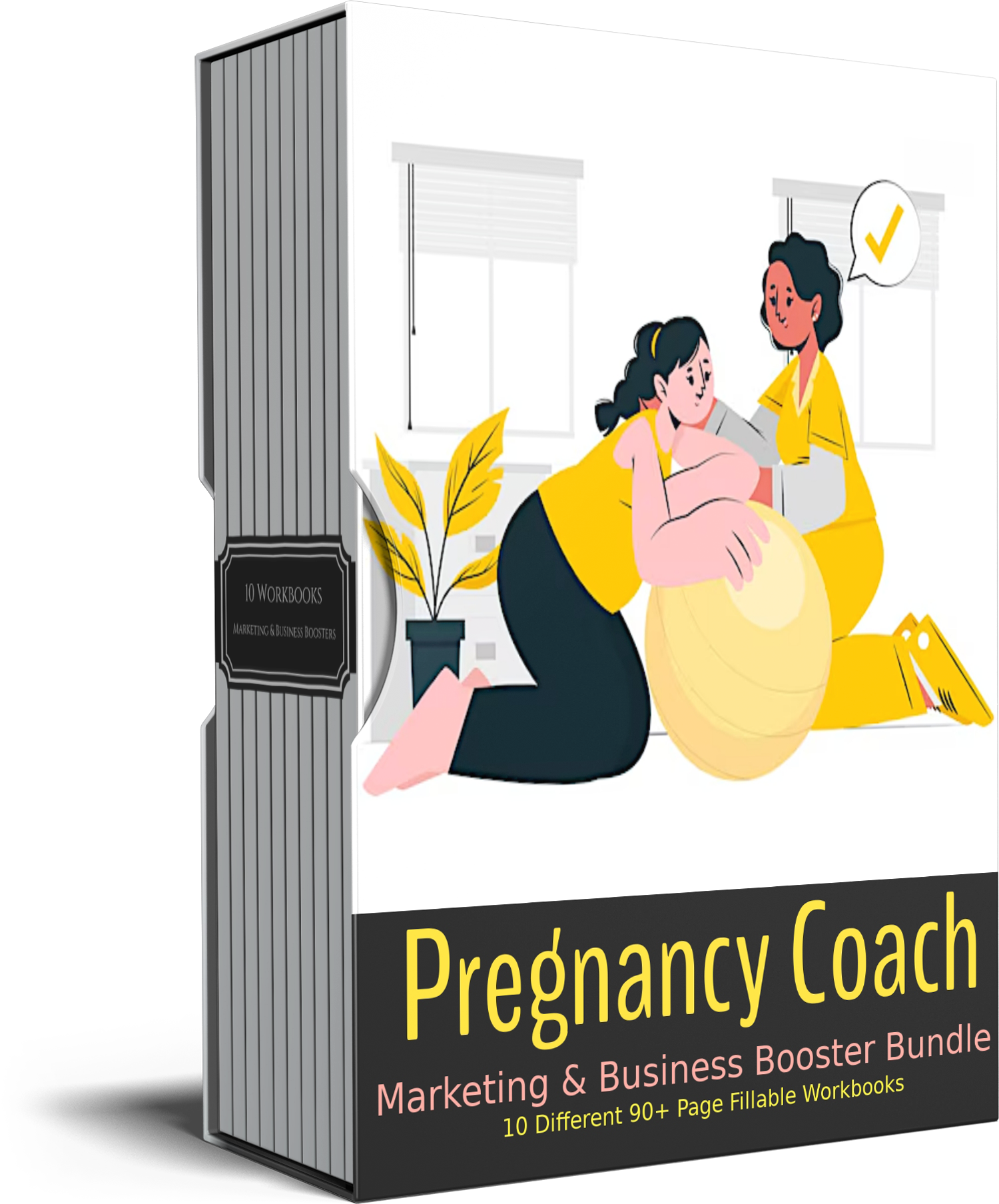 Pregnancy Coach Business Booster