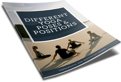 'Yoga For Beginners' Lead Generation Reports - Shop People Of The Mind